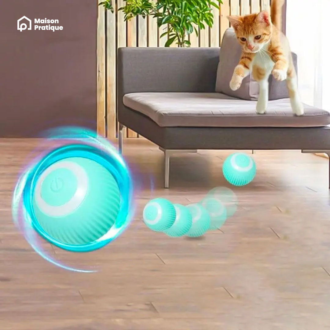 Balle interactive pour chat | Jouet divertissant