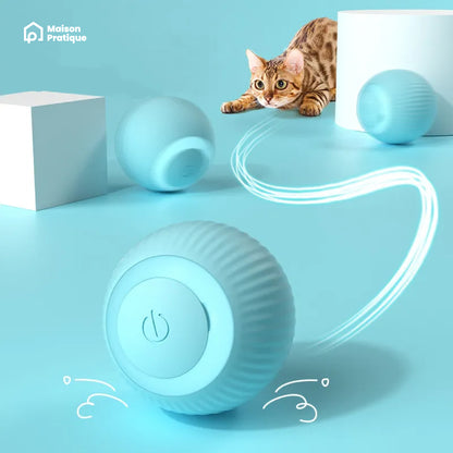 Balle interactive pour chat | Jouet divertissant