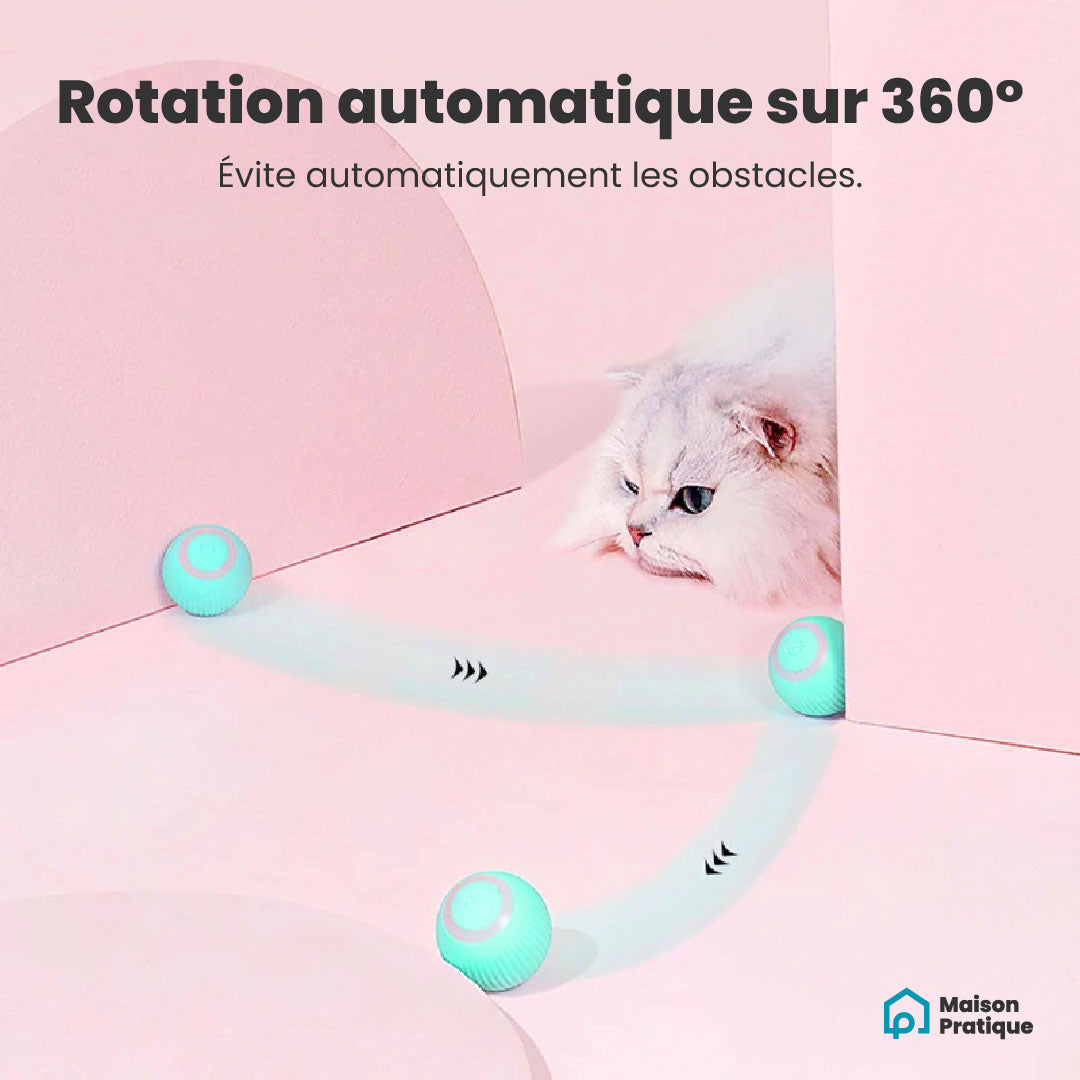 Balle interactive pour chat | Jouet divertissant