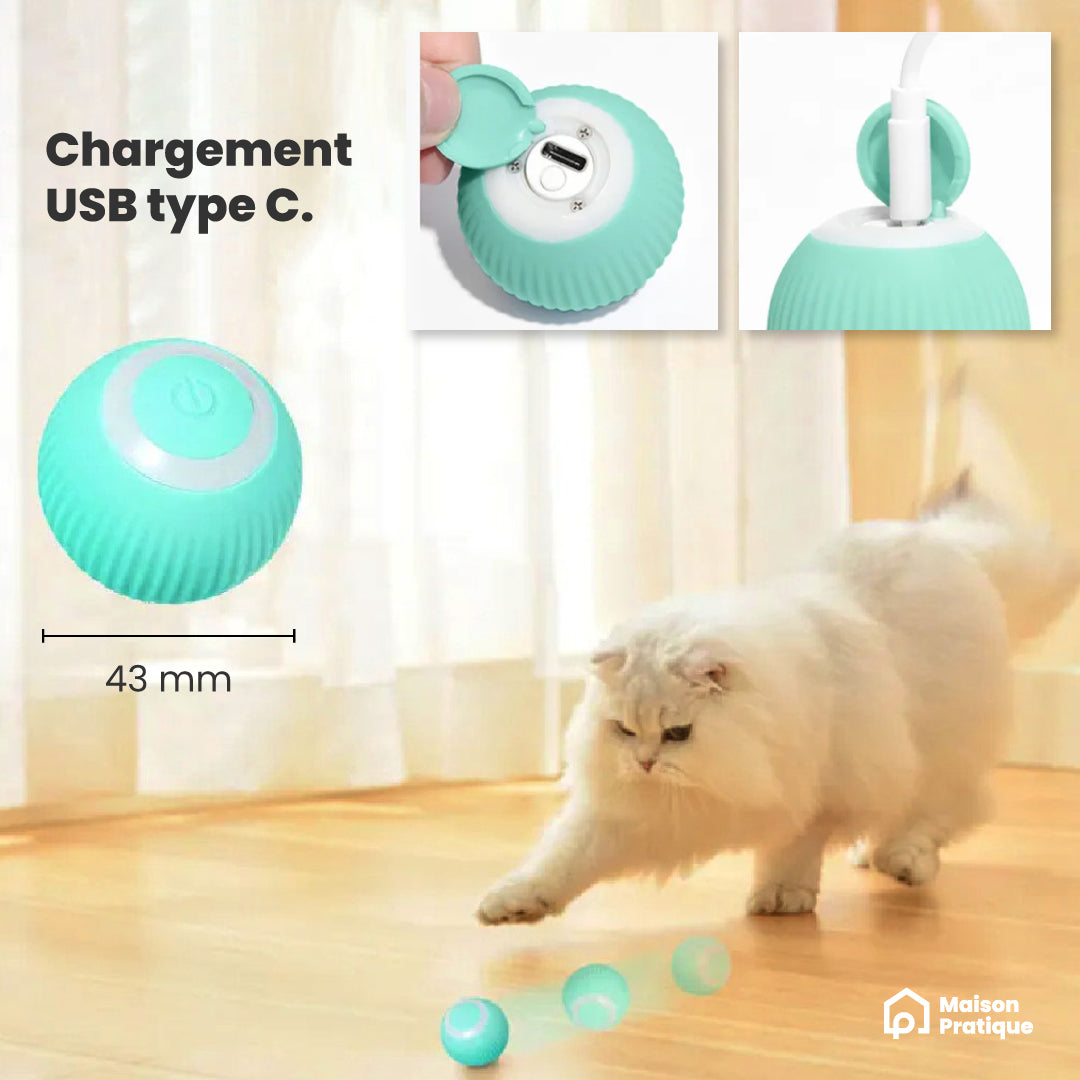 Balle interactive pour chat | Jouet divertissant