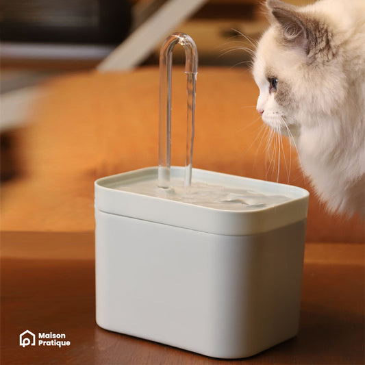 Fontaine à eau automatique filtrante 1,5L | Chats et Chiens